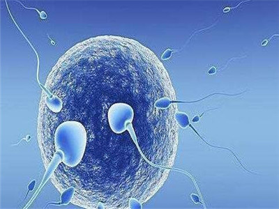 代怀双胞胎生男孩